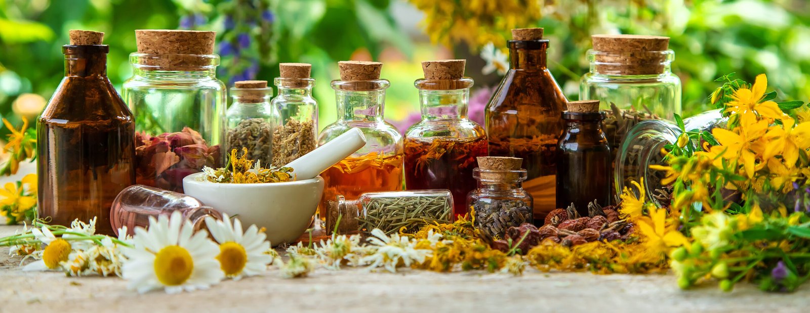 Difference between herbalist and homeopath shown in an image showing herbal tinctures with herbs and homeopathic blends