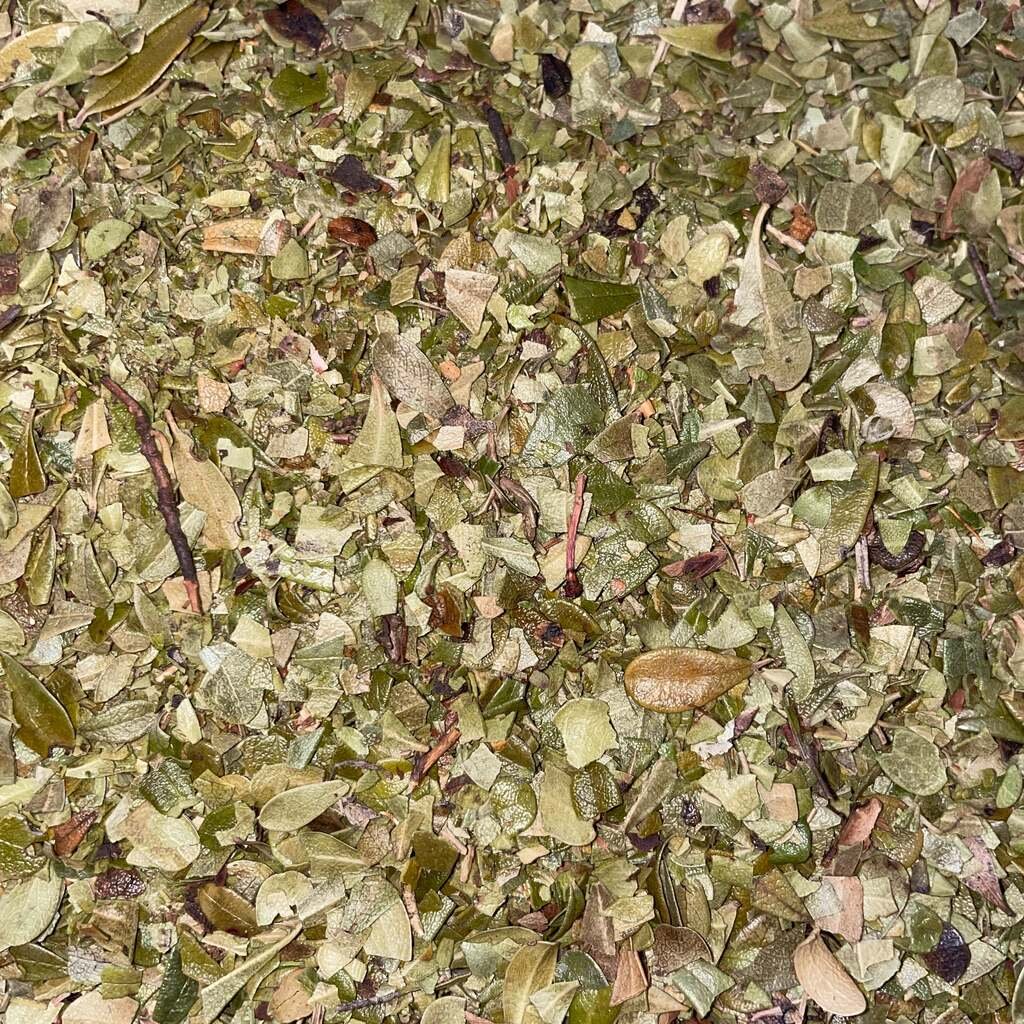 Dried Bearberry Leaf