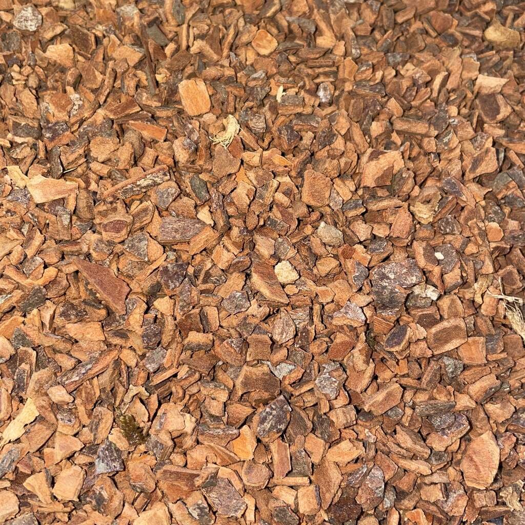 Dried Cinnamon Bark Cut