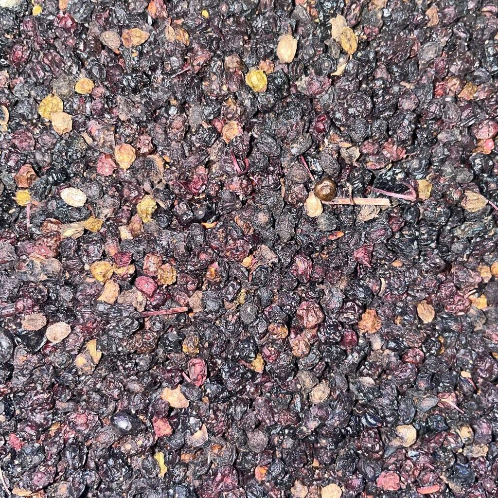 Dried Elderberries