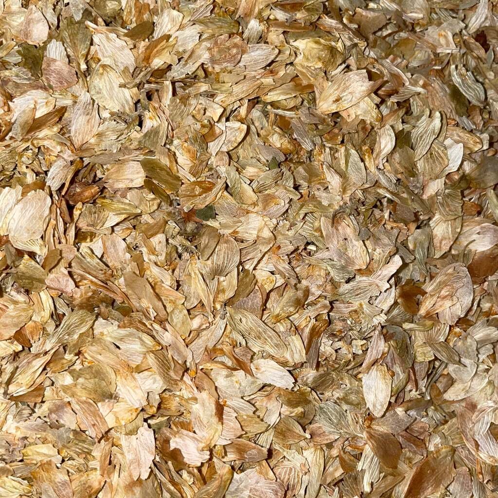Dried Hops