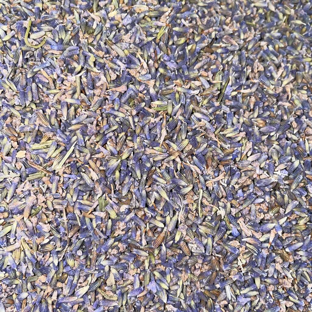 Dried Lavender