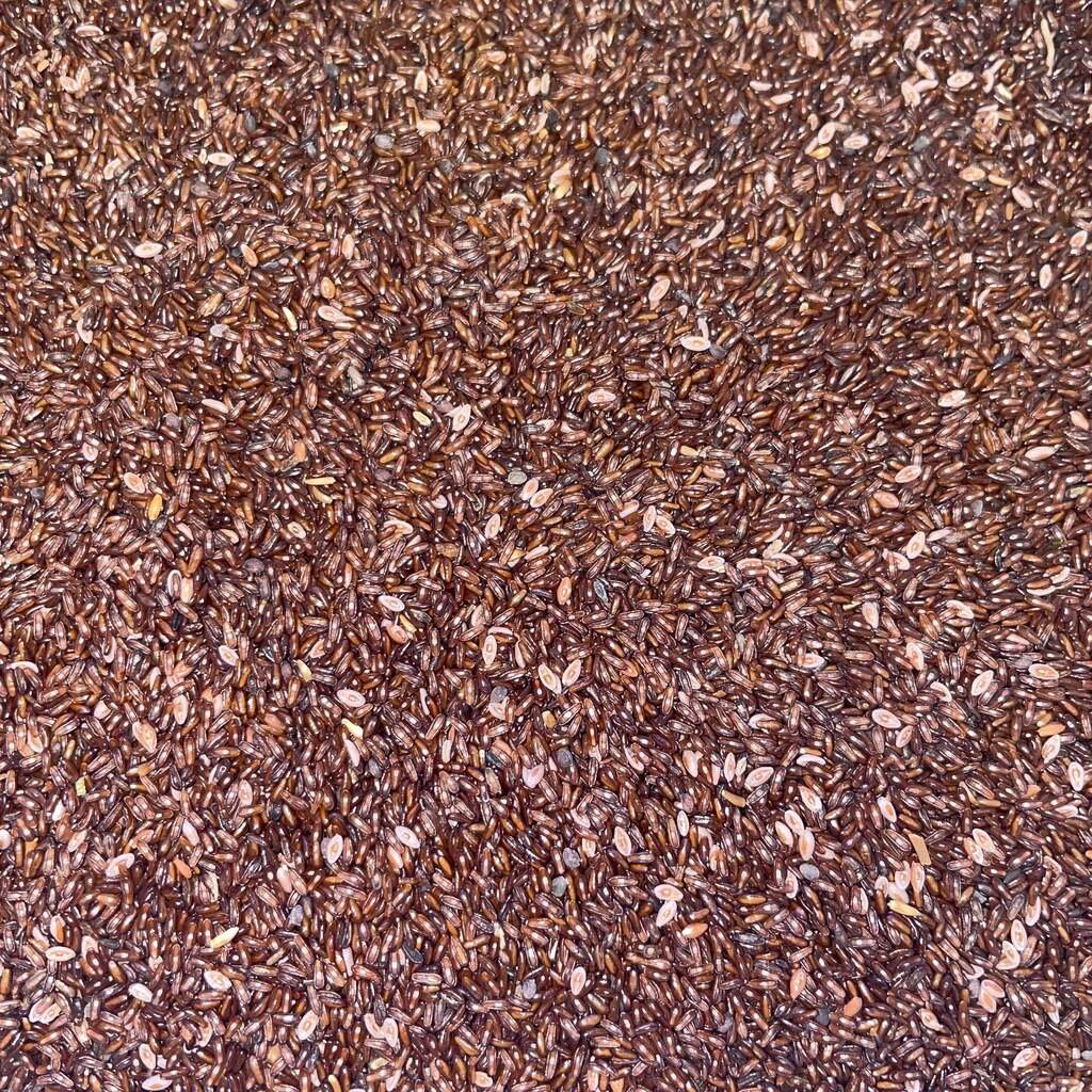 Dried Psyllium Seeds