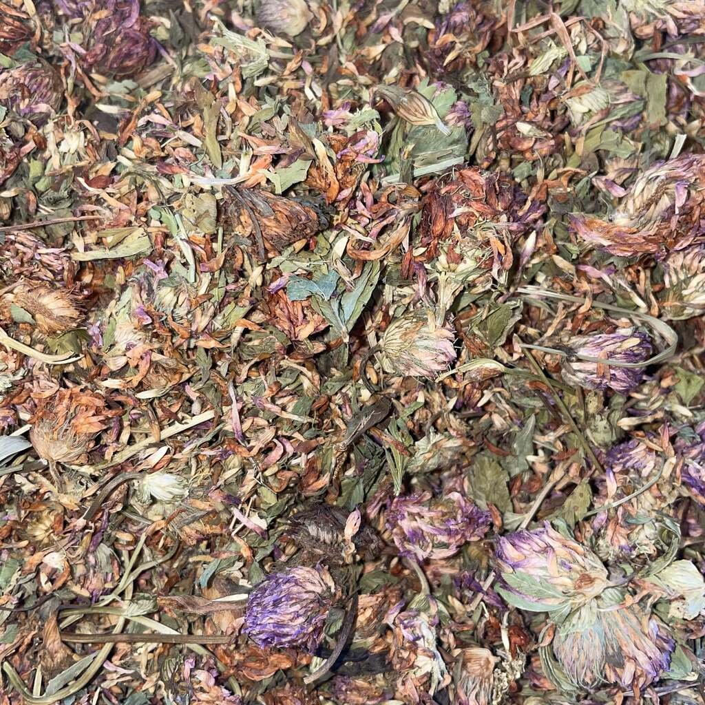 Dried Red Clover Flowers