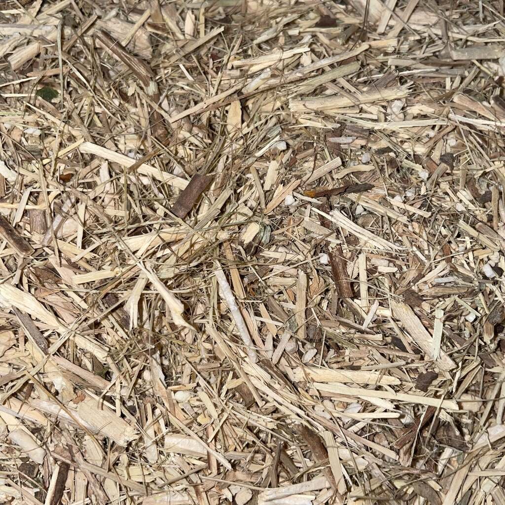 Dried Siberian Ginseng