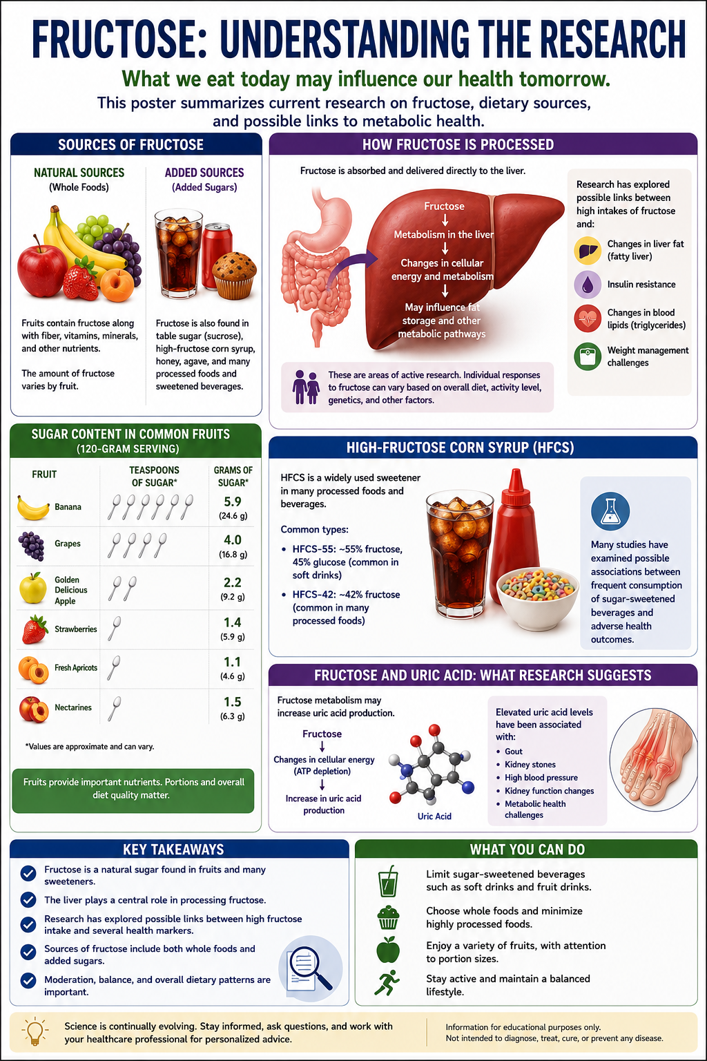 Educational infographic about fructose metabolism liver health uric acid and dietary sugar sources Includes fruit sugar comparisons high fructose corn syrup information and research on possible links between fructose intake and metabolic health outcomes