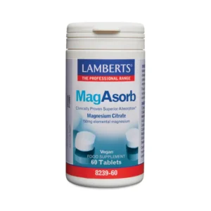 Lamberts MagAsorb Tablets 60 Tablets Front Pot