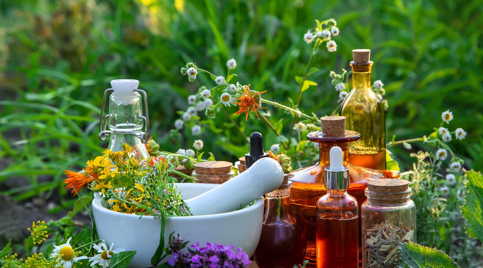 Herbs and tinctures