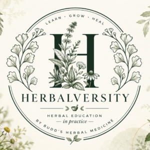 Herbalversity | Make your own herbal first aid kit