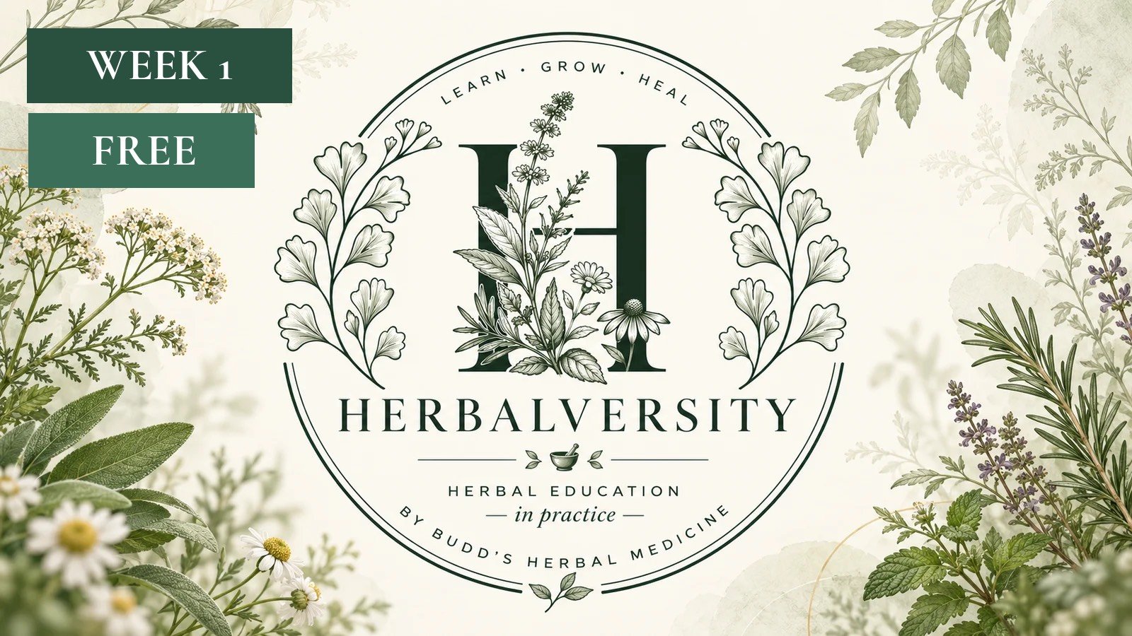 Herbalversity | Make Your Own Herbal First Aid Kit (Week 1 Only)